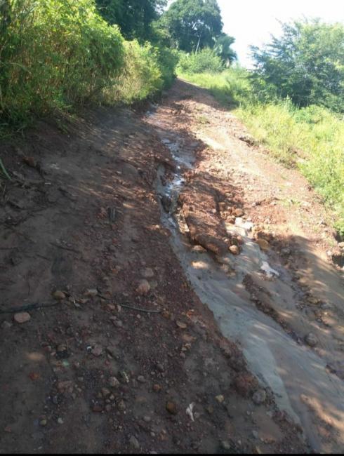 Foto divulgação 
