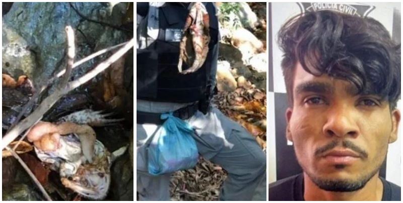 Foto: Reprodução