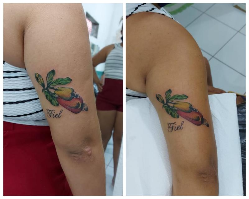 Foto divulgação 