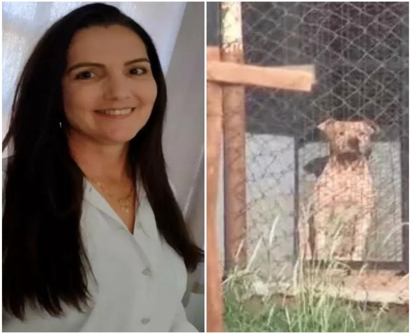 Marli Donega morreu após ataque de pitbulls em Birigui (SP) — Foto: Arquivo pessoal