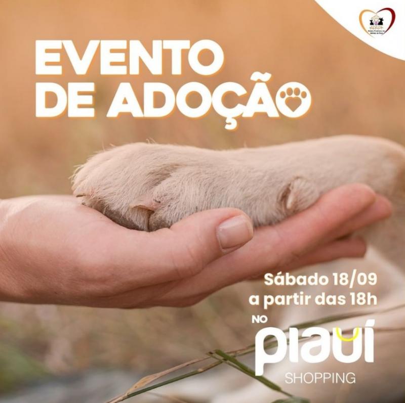 Imagem: Divulgação/ Apapi