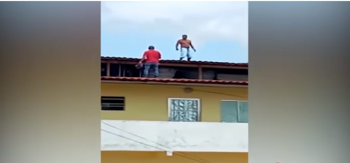 Foto: Reprodução