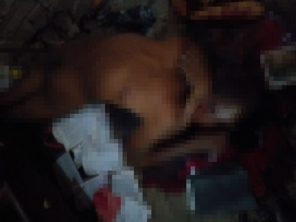 Foto divulgação 