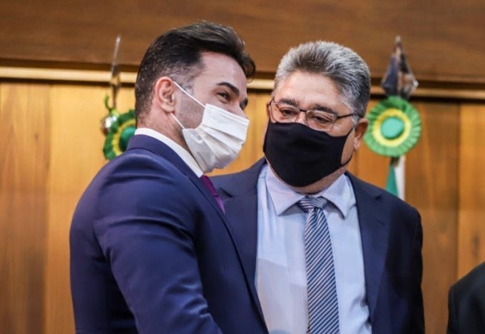 O conselho terá a finalidade de promover ações de prevenção à violência e de incentivo ao tratamento adequado aos animais - Foto: Alepi
