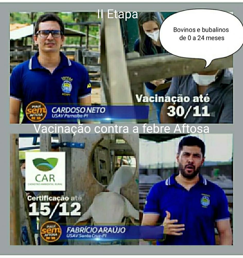(Foto: Divulgação)