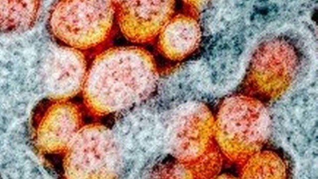 Pfizer afirma que três doses de vacina neutralizam Ômicron