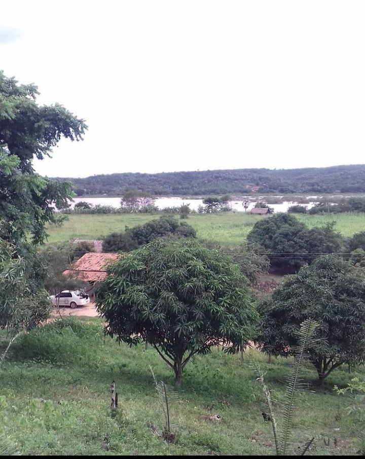 Foto divulgação Instagram