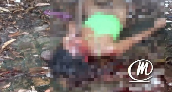 Foto divulgação 