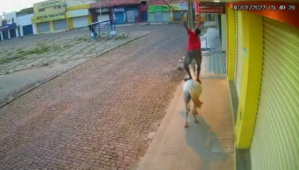 Foto: Reprodução