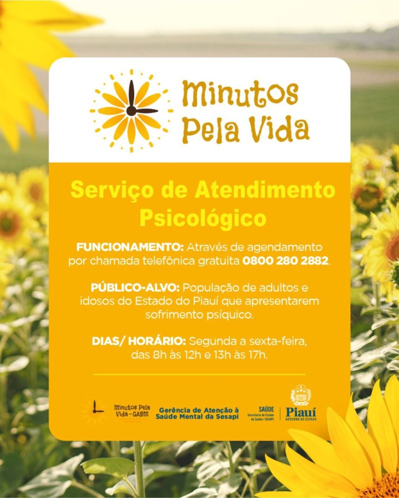 Foto: Reprodução/Secom Piauí