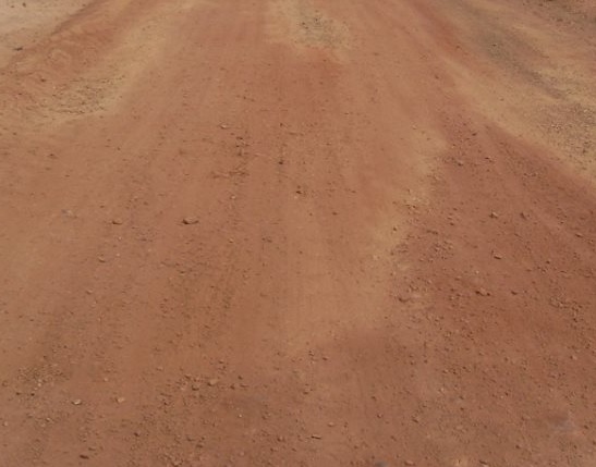 (Foto: Reprodução)