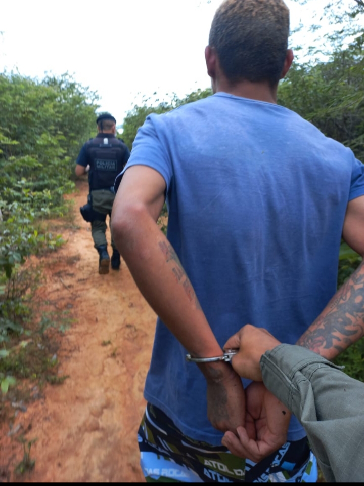 Fotos: Divulgação 