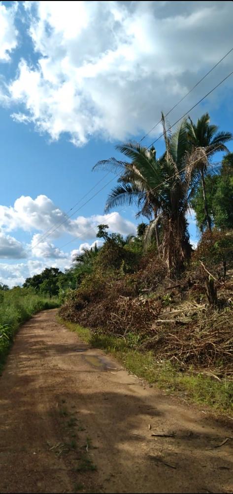 Foto divulgação
