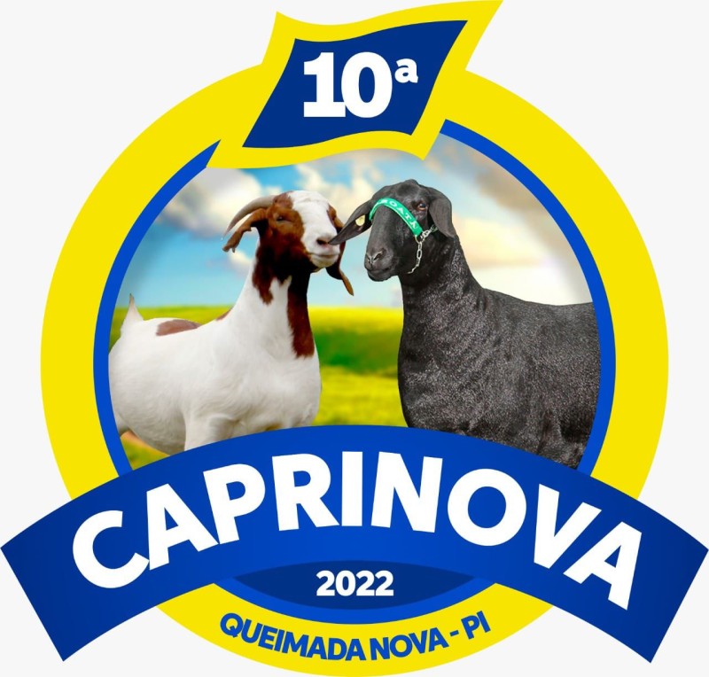 Foto: Reprodução/Secom Piauí