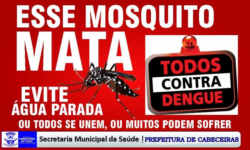 Campanha da dengue