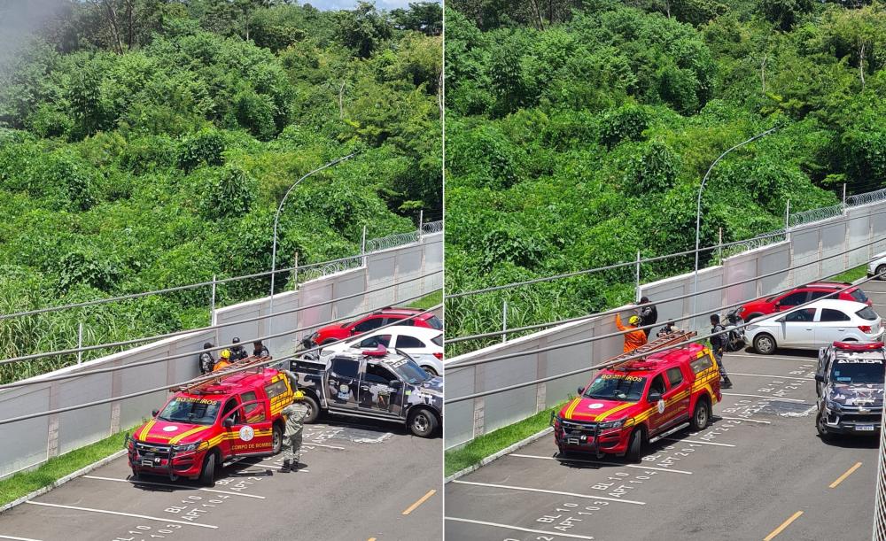 Polícia e Corpo de Bombeiros são acionados por moradores do condomínio Foto: Stephanie Maria