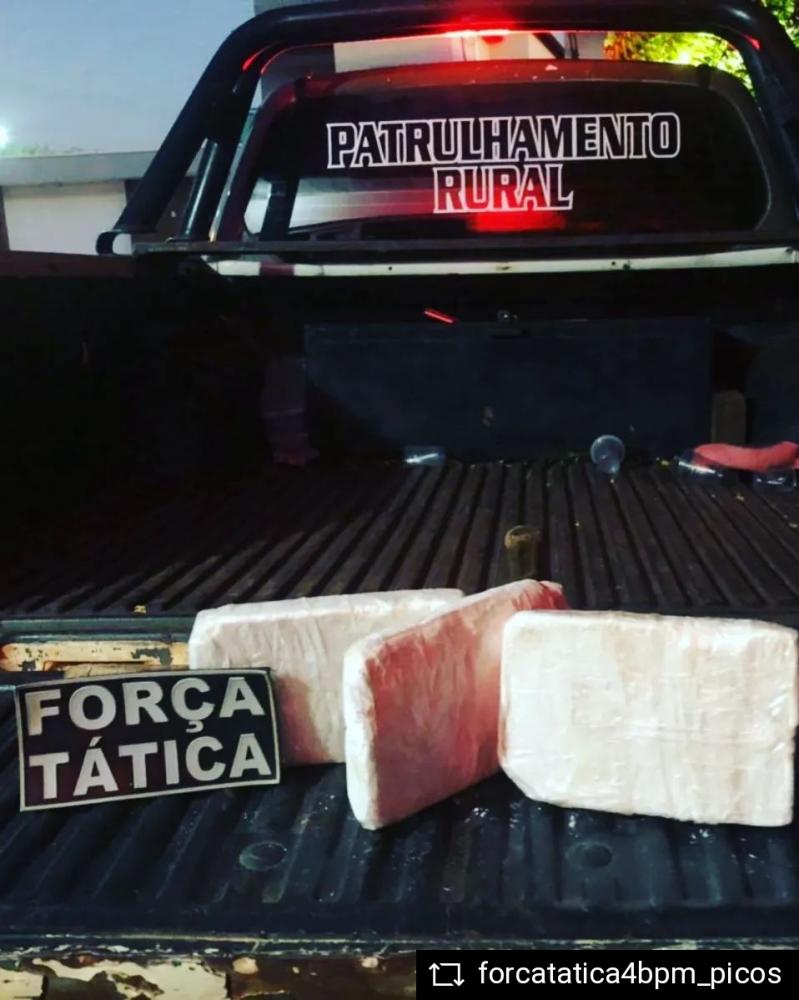 (Foto: Divulgação/PM)