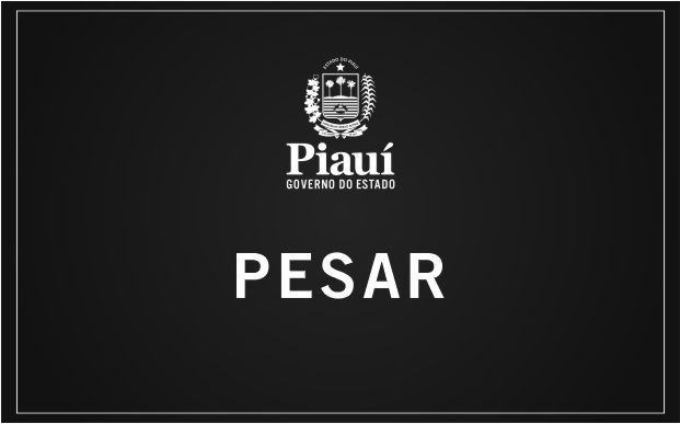 Foto: Reprodução/Secom Piauí