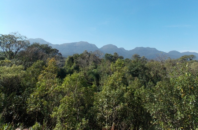 © Arquivo/Agência Brasil