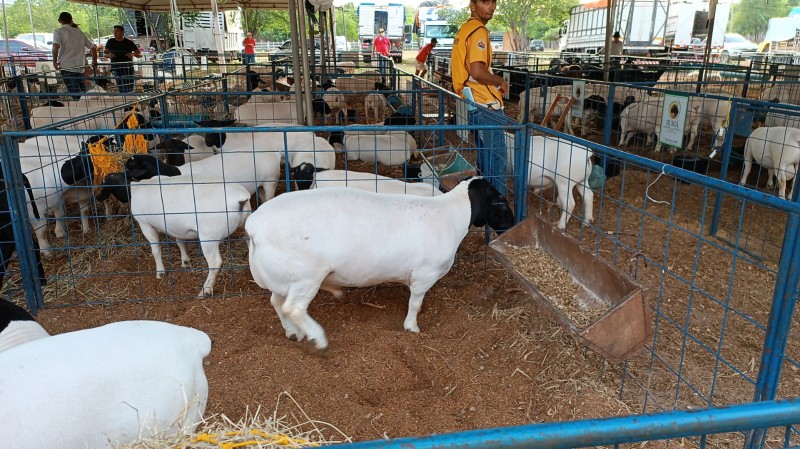 Foto: Reprodução/Secom Piauí