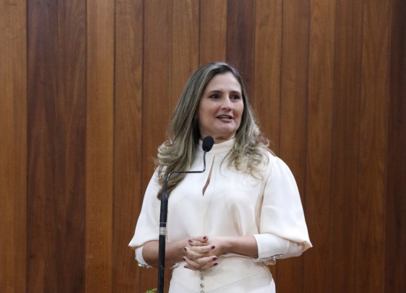 Foto: Reprodução/Secom Piauí