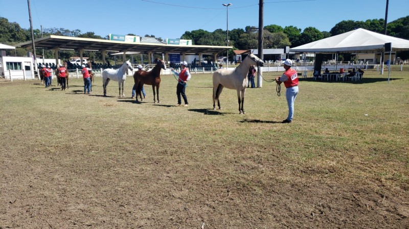 Foto: Reprodução/Secom Piauí