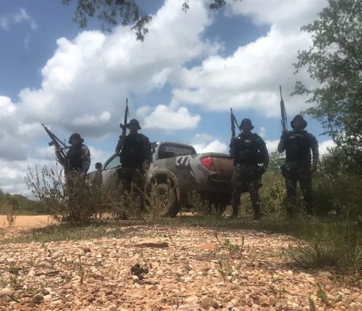 (Foto: Divulgação/PM)