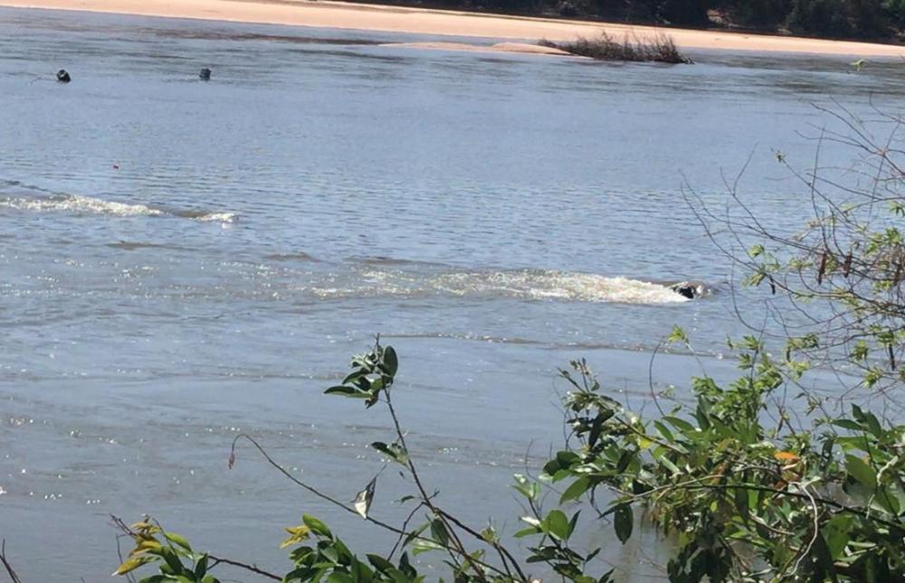 Populares encontram corpo preso em draga no rio Parnaíba Ana Paula Barreira / TV Antena 10