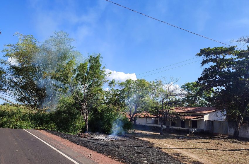 Foto divulgação