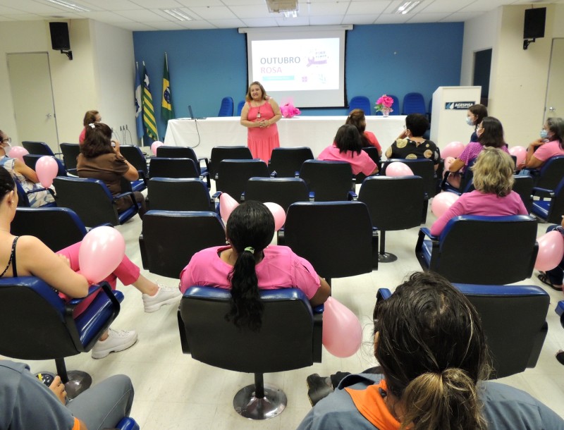 Foto: Reprodução/Secom Piauí