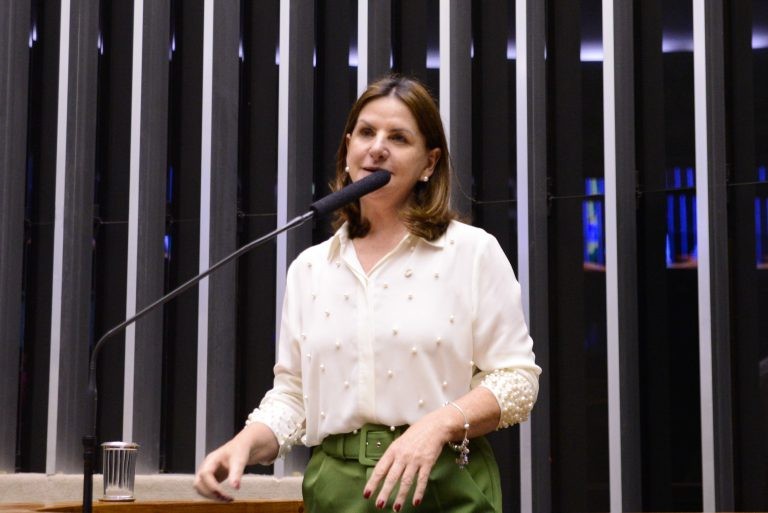 Carmen Zanotto, relatora do projeto - (Foto: Wesley Amaral/Câmara dos Deputados)
