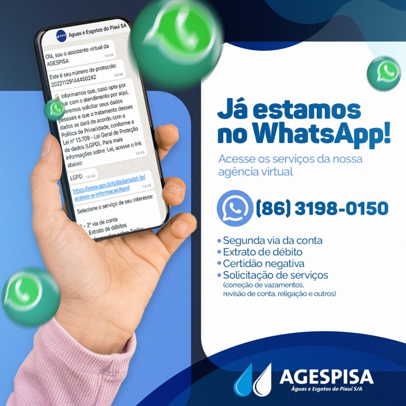 Foto: Reprodução/Secom Piauí