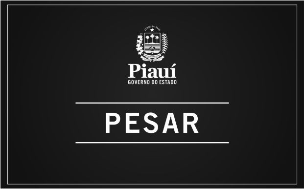 Foto: Reprodução/Secom Piauí