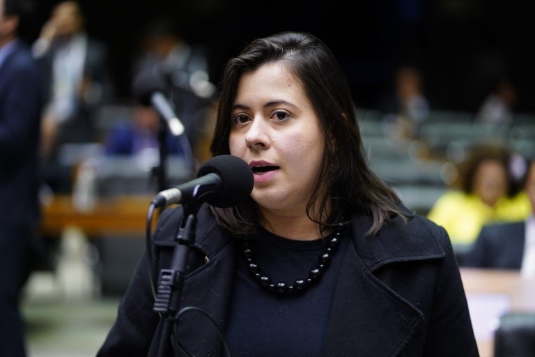Sâmia: crianças e adolescentes são vítimas indiretas e invisíveis do feminicídio - (Foto: Pablo Valadares/Câmara dos Deputados)