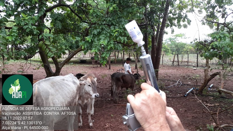 Foto: Reprodução/Secom Piauí