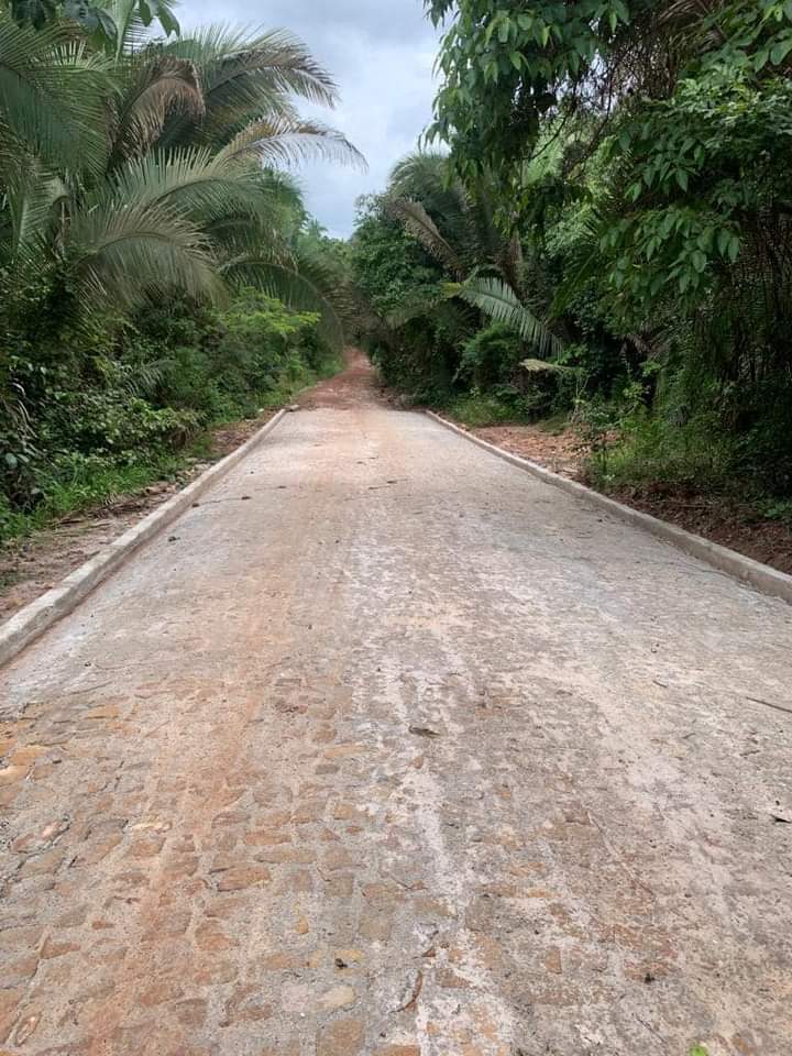 Foto divulgação 
