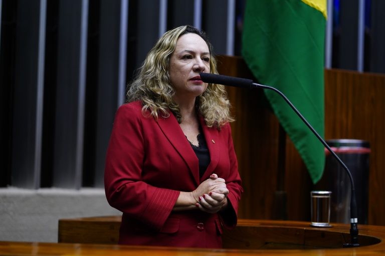 A autora da proposta, deputada Delegada Adriana Accorsi - (Foto: Pablo Valadares/Câmara dos Deputados)