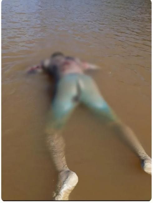 Foto Divulgação 