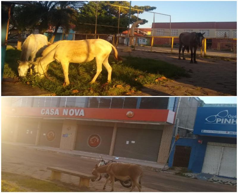 Fotos divulgação redes sociais. Postadas no Portal André News notícia 