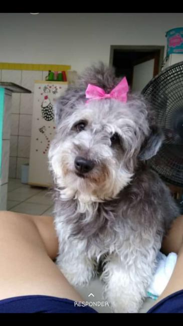 Foto Divulgação de Dhuly