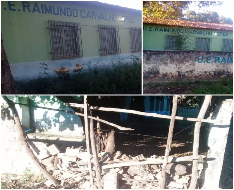 Fotos reprodução 