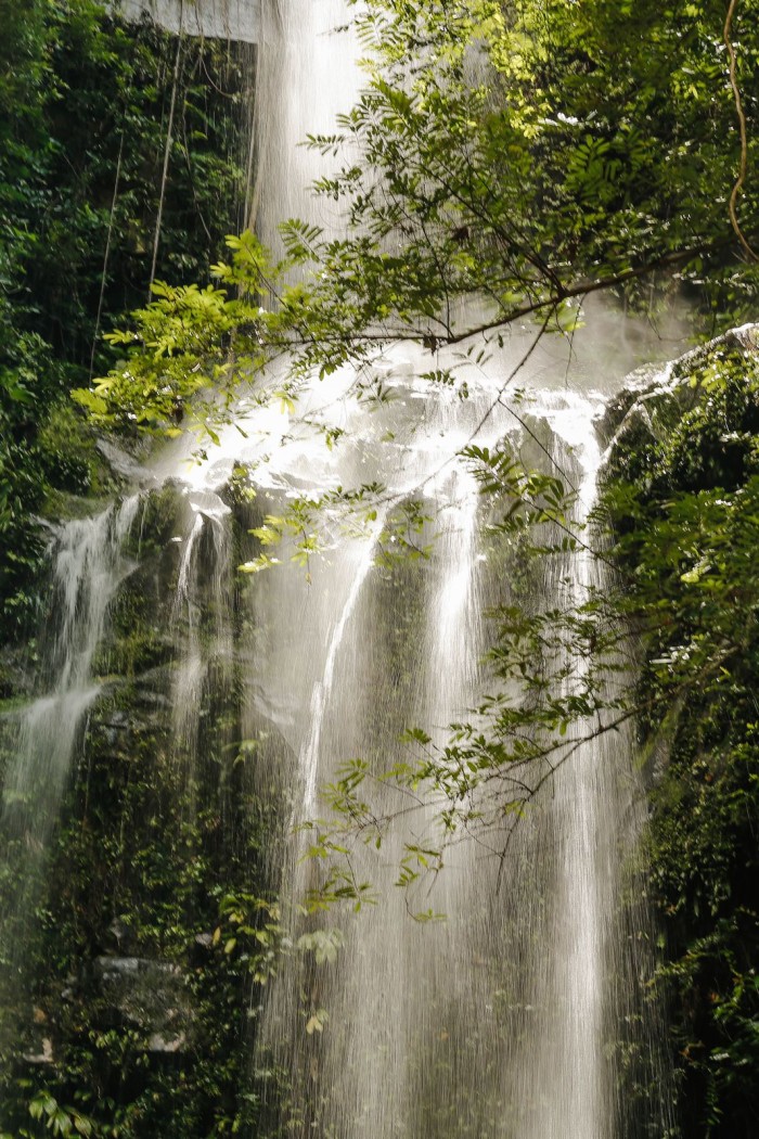 Foto: Reprodução/Secom Piauí