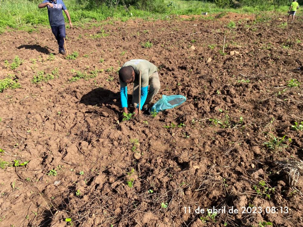 (Foto: Reprodução)