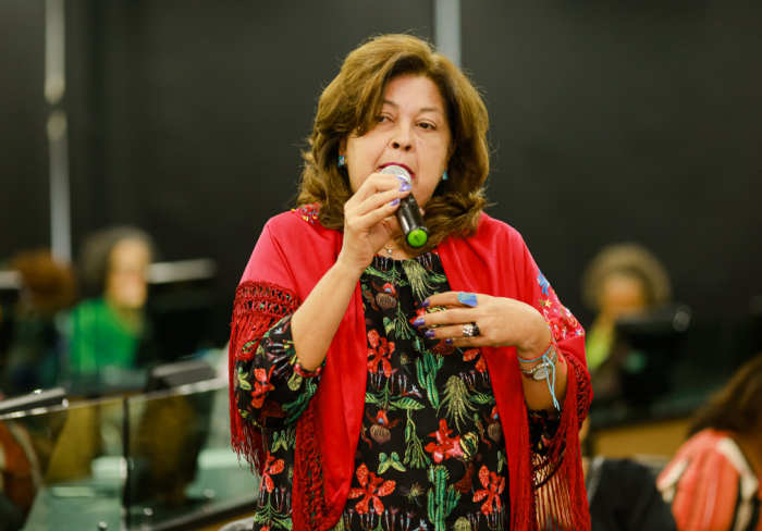 Foto: Reprodução/Secom Piauí