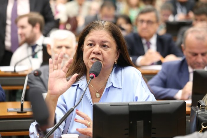 Deputada Laura Carneiro, relatora do projeto de lei na CCJ - (Foto: Billy Boss/Câmara dos Deputados)