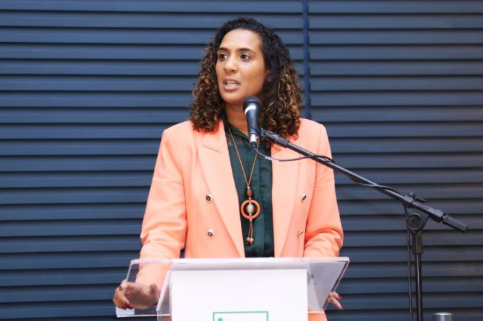 Anielle foi convidada pela comissão - (Foto: Billy Boss/Câmara dos Deputados)