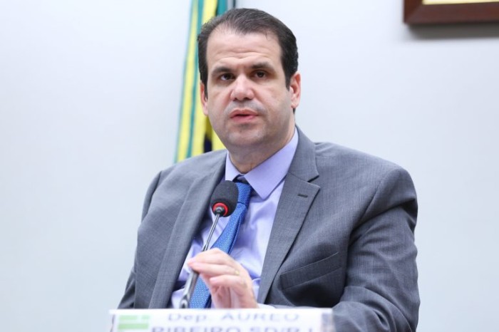 Aureo Ribeiro apresentou parecer pela constitucionalidade do projeto - (Foto: Vinicius Loures/Câmara dos Deputados)