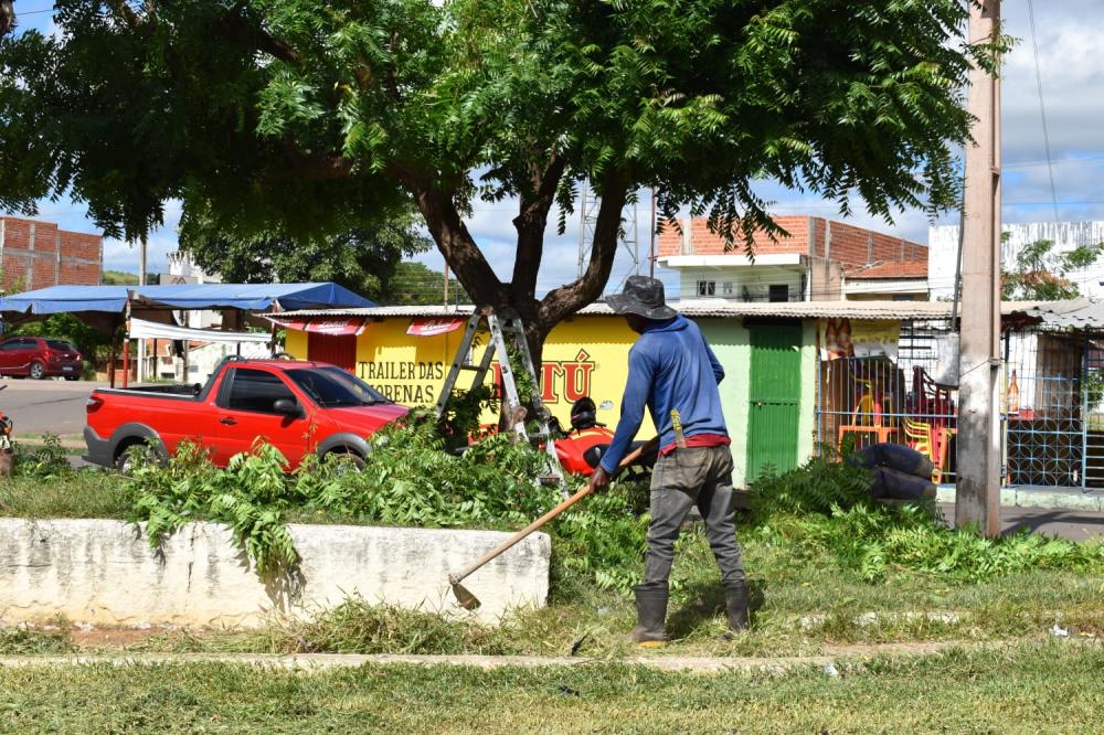 Os trabalhos são de poda, capina, construção e revitalização de meio fio, restauração de bancos e pinturas (Foto: Roberto Oliveira)