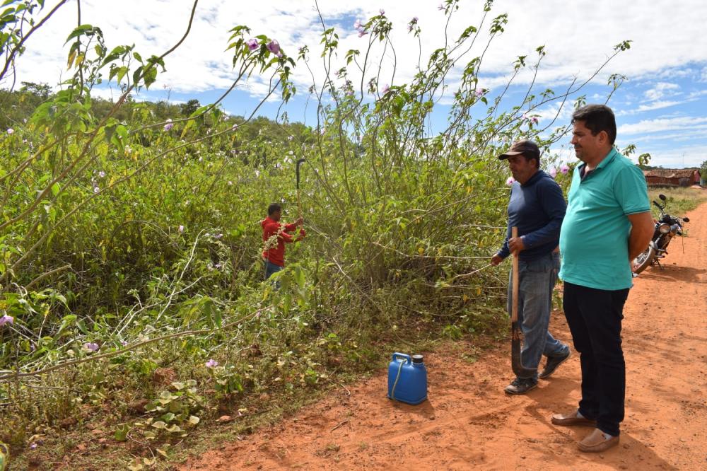 Serviço de roço (Foto: Jackelany Vasconcelos)