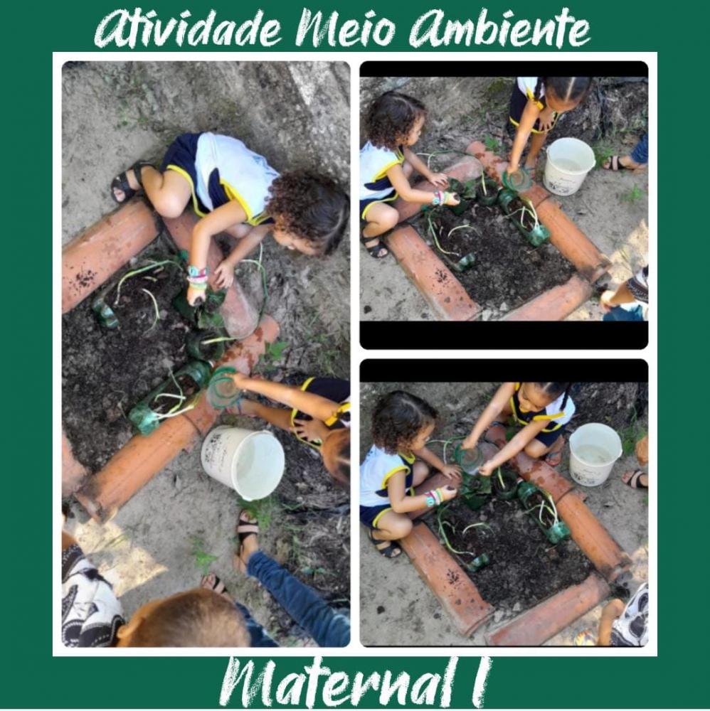 Foto divulgação